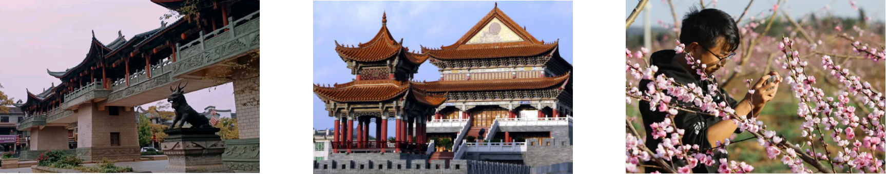 AG8亚洲国际游戏集团_首页官网