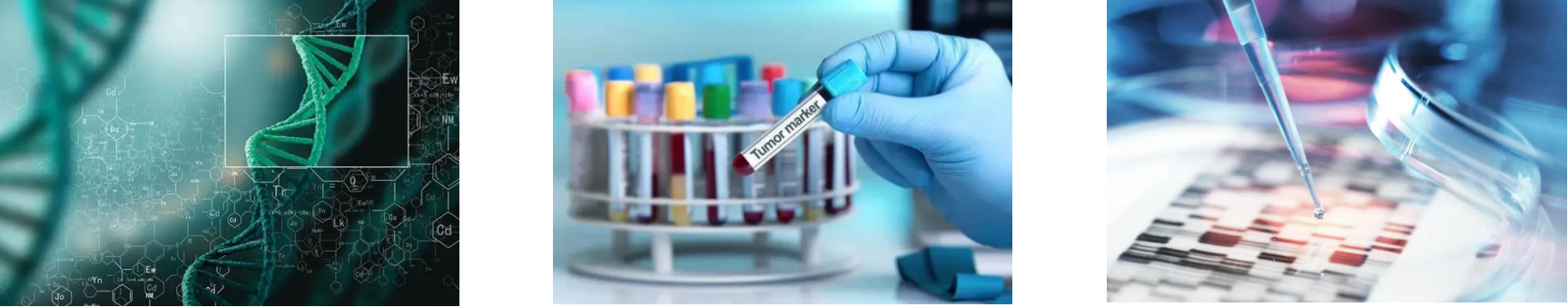 AG8亚洲国际游戏集团_首页官网