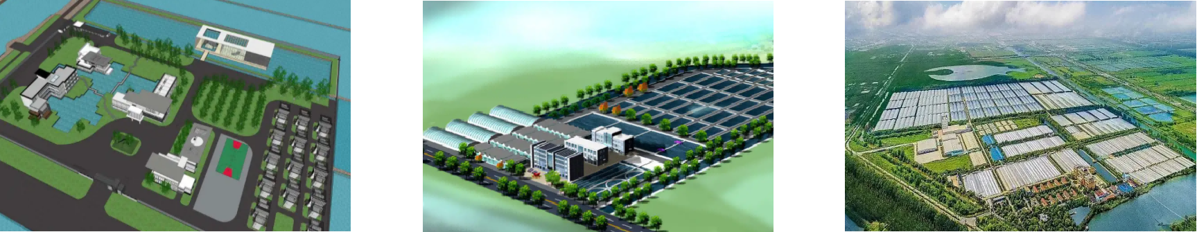 AG8亚洲国际游戏集团_首页官网