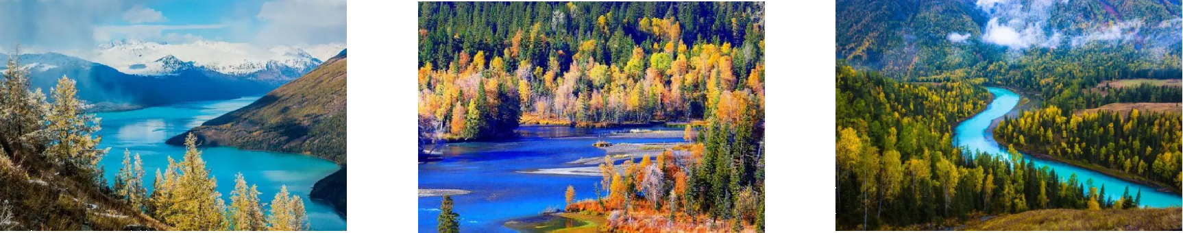 AG8亚洲国际游戏集团_首页官网