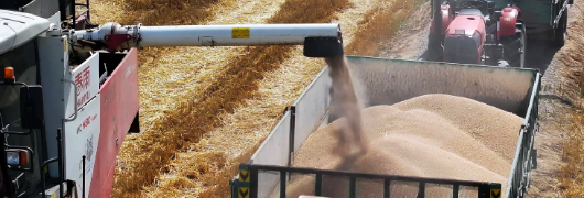 AG8亚洲国际游戏集团_首页官网