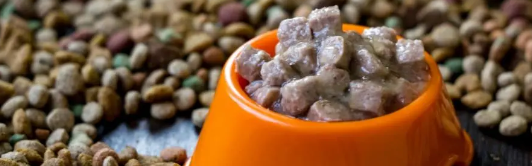 AG8亚洲国际游戏集团_首页官网