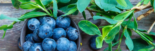 AG8亚洲国际游戏集团_首页官网