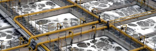 AG8亚洲国际游戏集团_首页官网