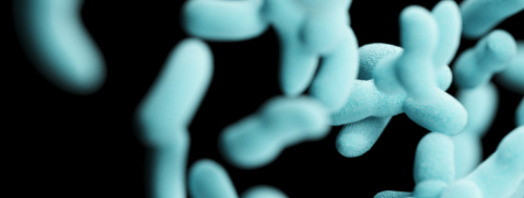 AG8亚洲国际游戏集团_首页官网