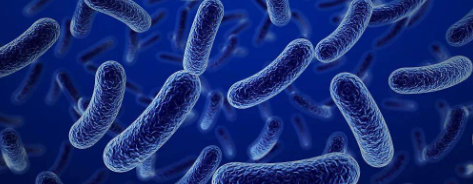 AG8亚洲国际游戏集团_首页官网