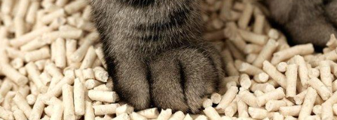 AG8亚洲国际游戏集团_首页官网