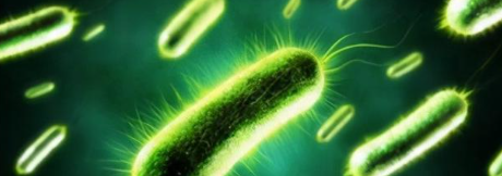 AG8亚洲国际游戏集团_首页官网