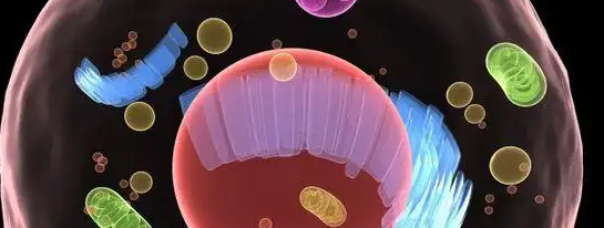 AG8亚洲国际游戏集团_首页官网