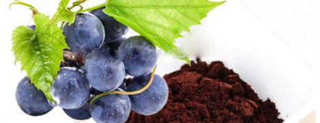 AG8亚洲国际游戏集团_首页官网