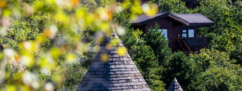 AG8亚洲国际游戏集团_首页官网