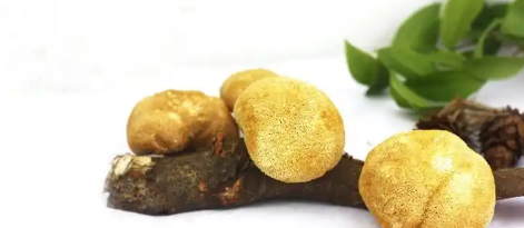 AG8亚洲国际游戏集团_首页官网