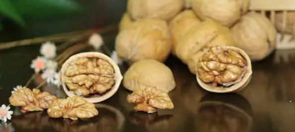 AG8亚洲国际游戏集团_首页官网