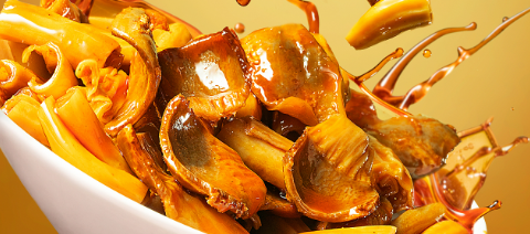 AG8亚洲国际游戏集团_首页官网