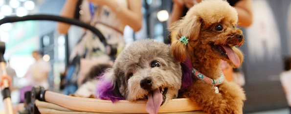 AG8亚洲国际游戏集团_首页官网