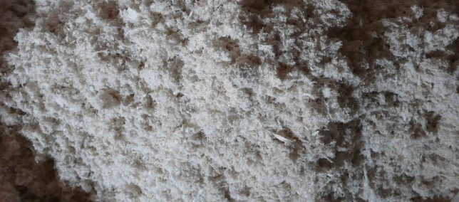 AG8亚洲国际游戏集团_首页官网