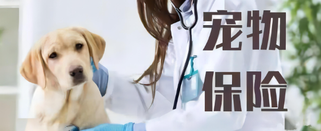 AG8亚洲国际游戏集团_首页官网