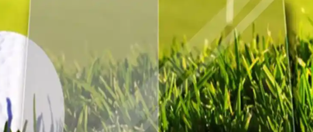 AG8亚洲国际游戏集团_首页官网