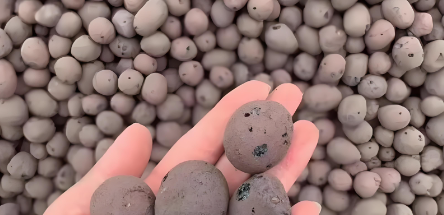 AG8亚洲国际游戏集团_首页官网