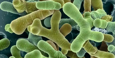 AG8亚洲国际游戏集团_首页官网