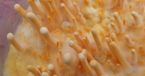 AG8亚洲国际游戏集团_首页官网