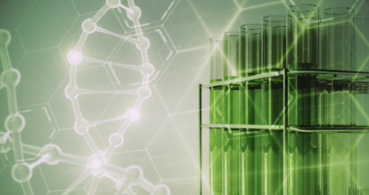 AG8亚洲国际游戏集团_首页官网