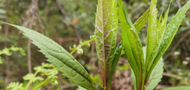 AG8亚洲国际游戏集团_首页官网