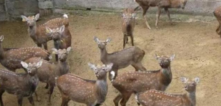 AG8亚洲国际游戏集团_首页官网