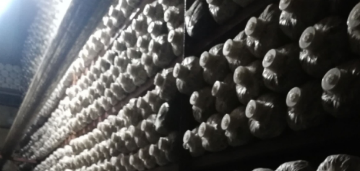 AG8亚洲国际游戏集团_首页官网