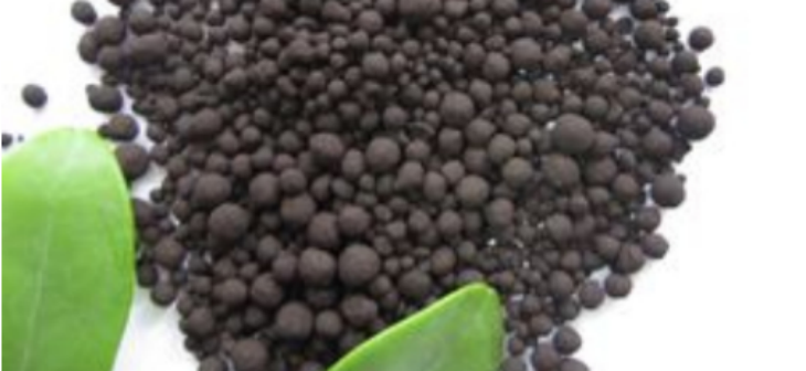 AG8亚洲国际游戏集团_首页官网