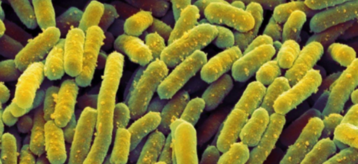 AG8亚洲国际游戏集团_首页官网