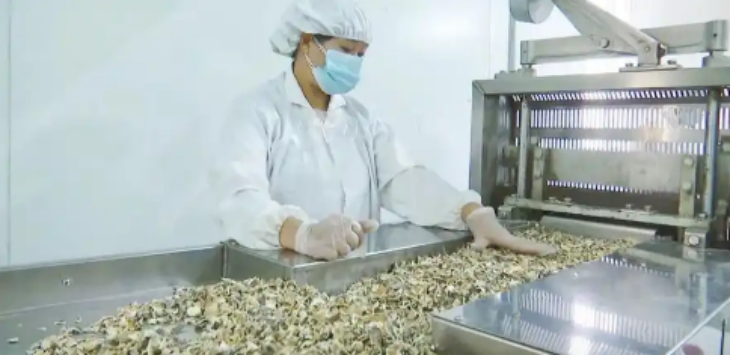 AG8亚洲国际游戏集团_首页官网