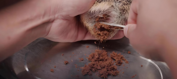 AG8亚洲国际游戏集团_首页官网