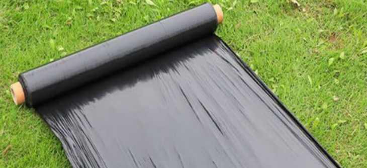 AG8亚洲国际游戏集团_首页官网