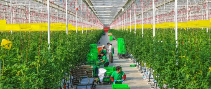 AG8亚洲国际游戏集团_首页官网