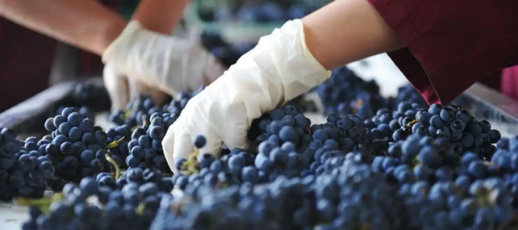 AG8亚洲国际游戏集团_首页官网