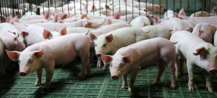 AG8亚洲国际游戏集团_首页官网