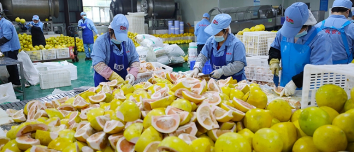 AG8亚洲国际游戏集团_首页官网