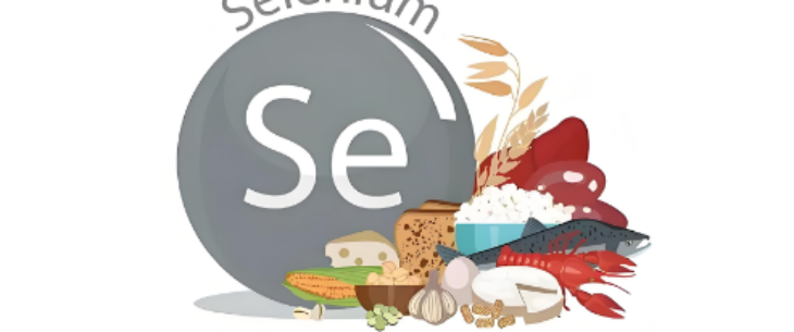 AG8亚洲国际游戏集团_首页官网