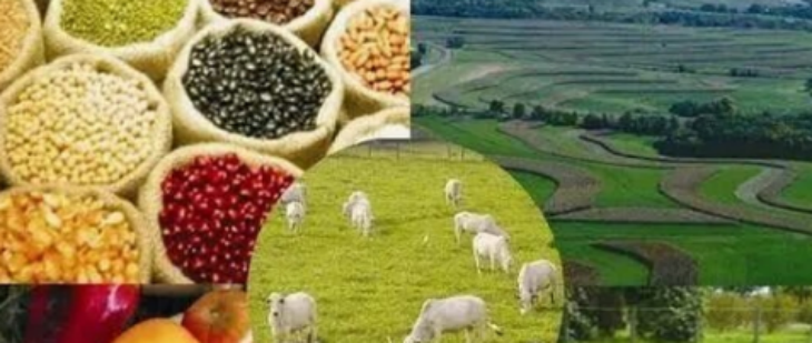 AG8亚洲国际游戏集团_首页官网