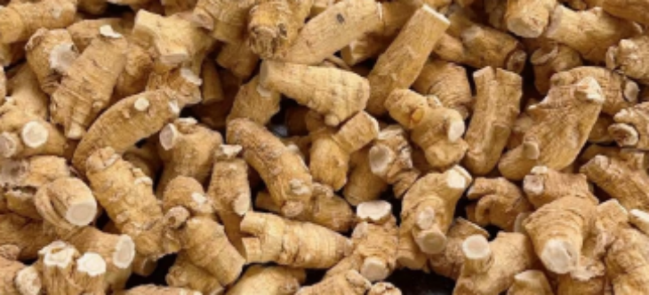 AG8亚洲国际游戏集团_首页官网